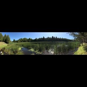 Meet your Posher, Molly